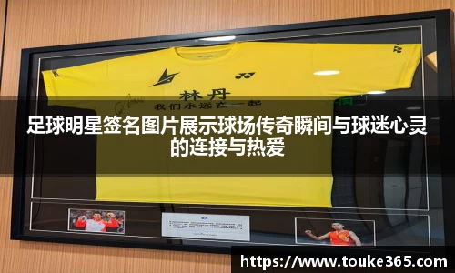 悟空·体育平台